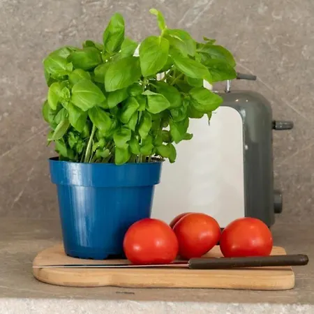 Ferienpark-heiligenhafen-haus-n-wohnung-07-06 Апартаменты Хайлигенхафен